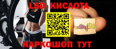 ECSTASY Новодвинск