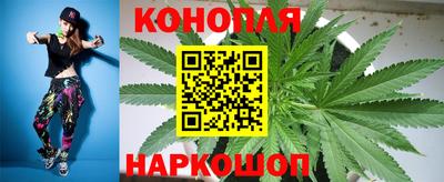 прущие крисы Новокубанск