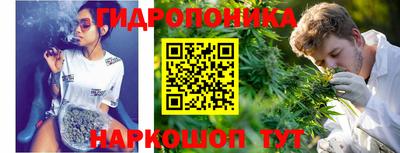 прущие крисы Новокубанск