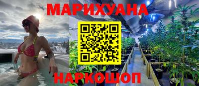ECSTASY Новодвинск