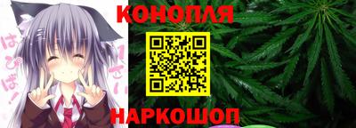 шишки Новозыбков