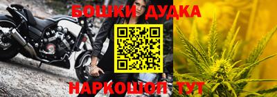 прущие крисы Новокубанск